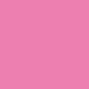PENTEL PAINT MARKER MMP20 - ROSA